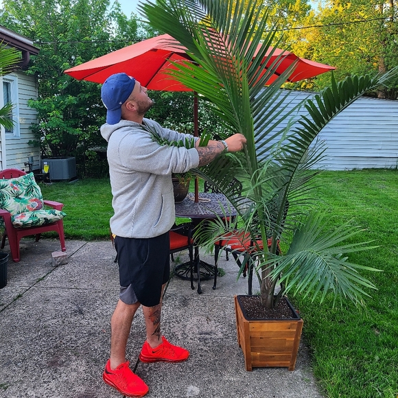 Meet your posher, Ricardo - Picture 7 of 7